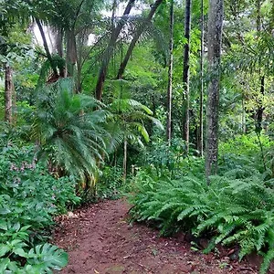 Rainforest Retreat-fireplace-bbq-3 Acres- Holiday home Nambour